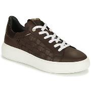 Lage Sneakers JB Martin FLORA