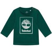 T-shirt Korte Mouw Timberland -