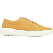 Sneakers Timberland Seneca Bay Canvas Ox