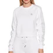 Sweater adidas -