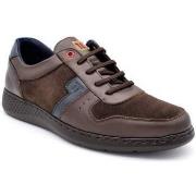 Lage Sneakers Notton 2912