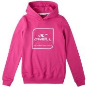 Sweater O'neill -