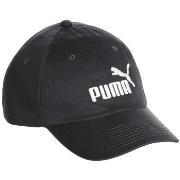 Pet Puma -