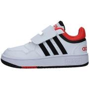 Lage Sneakers adidas H03860