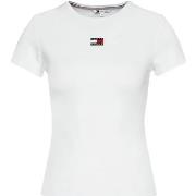 T-shirt Korte Mouw Tommy Hilfiger TJW BADGE RIB DW0DW17881