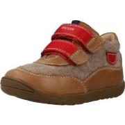 Nette Schoenen Geox B MACCHIA BOY