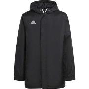 Blazer adidas Ent22 Stad Jkty