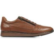 Sneakers Redskins Croustill 4