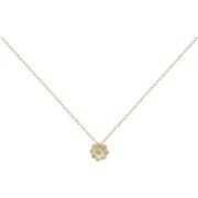 Ketting Phebus Collier Femme