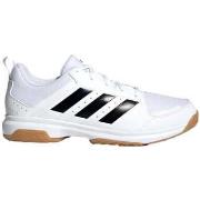 Wandelschoenen adidas -