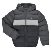 Donsjas adidas Synthetic Down Jacket