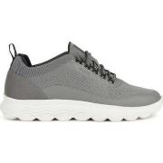 Lage Sneakers Geox -