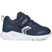 Lage Sneakers Geox -