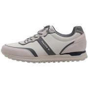 Lage Sneakers Kangaroos 563