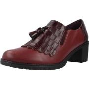 Nette schoenen Pitillos 10042P