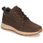 Lage Sneakers Timberland KILLINGTON TREKKER HALF CAB