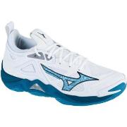 Fitness Schoenen Mizuno Wave Momentum 3