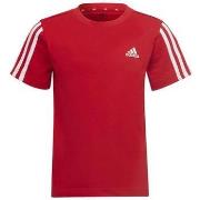 T-shirt Korte Mouw adidas -