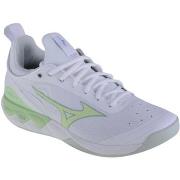 Fitness Schoenen Mizuno Wave Luminous 2