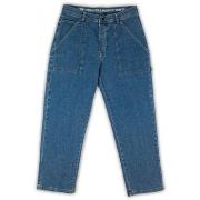 Broeken Homeboy X-tra work pants denim