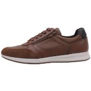 Nette Schoenen Geox U AVERY A