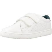 Sneakers Chicco CLESS