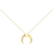 Ketting Phebus Collier Femme