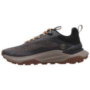 Lage Sneakers Timberland MOTION ACCESS