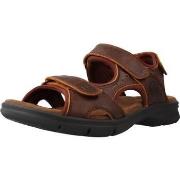 Sandalen Panama Jack SALTON BASICSC4