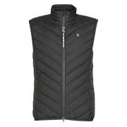 Donsjas Emporio Armani EA7 TRAIN CORE SHIELD M DOWN LIGHT VEST