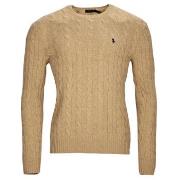 Trui Polo Ralph Lauren PULL COL ROND EN MAILLE TORSADEE