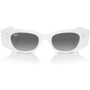 Zonnebril Ray-ban Occhiali da Sole Kat RB4427 675911