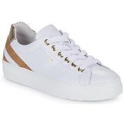 Lage Sneakers NeroGiardini E306510D-707