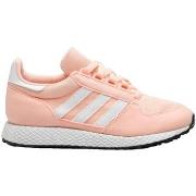 Hardloopschoenen adidas Forest Grove