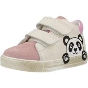 Sneakers Falcotto PEDEE VL