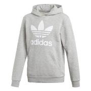 Sweater adidas TREFOIL HOODIE