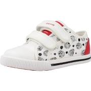 Sneakers Geox B KILWI GIRL