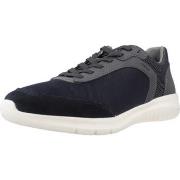 Sneakers Geox U MONREALE