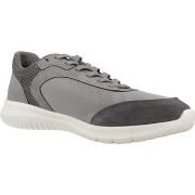 Sneakers Geox U MONREALE