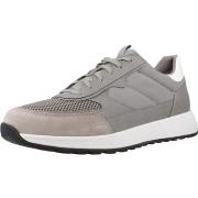 Sneakers Geox U MOLVENO