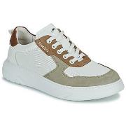 Lage Sneakers Fluchos BOSTON