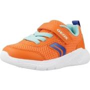 Sneakers Geox B SPRINTYE B. C