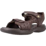 Sandalen Panama Jack NILO BASICS B8