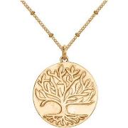 Ketting Phebus Collier Femme