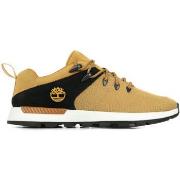 Sneakers Timberland Sprint Trekker Low Knit