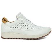 Sneakers Kangaroos -