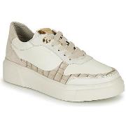 Lage Sneakers Stonefly ALLEGRA 3