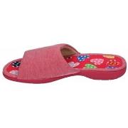 Pantoffels Vulca-bicha -