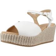 Sandalen Pitillos 10571P