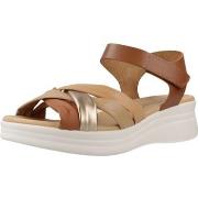 Sandalen Pitillos 10610P